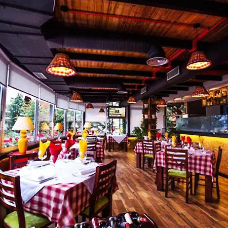 Vivi La Vita * 地拉那