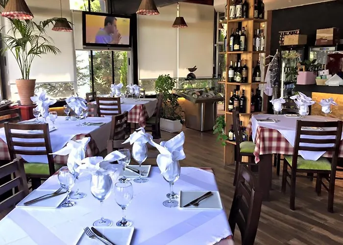 Vivi La Vita * Tirana