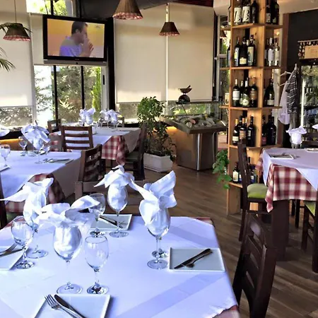 Vivi La Vita * Tirana