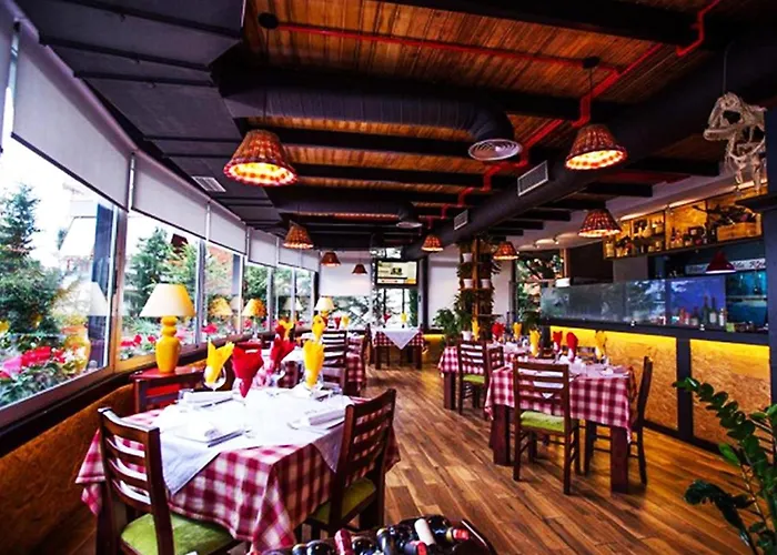 Vivi La Vita * تيرانا